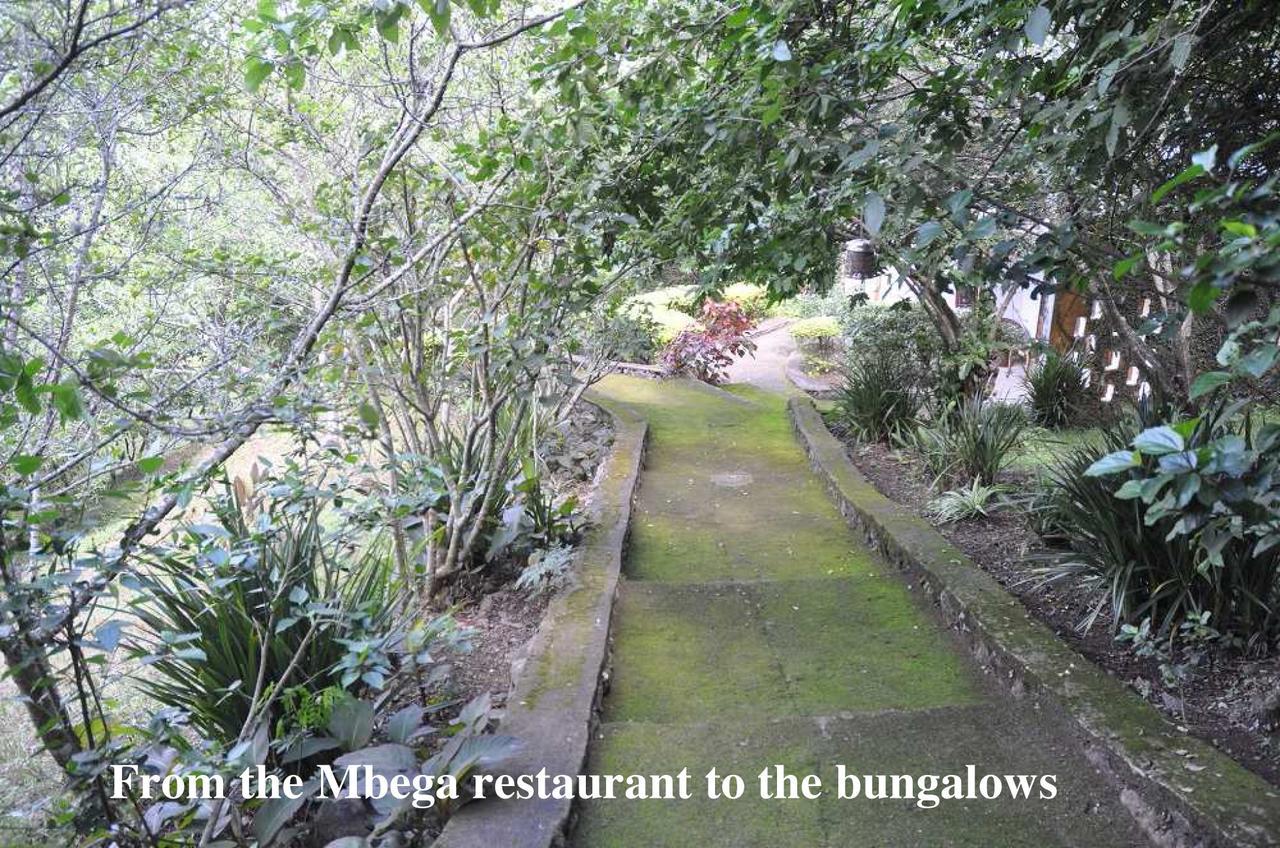 Meru Mbega Lodge Usa River Zewnętrze zdjęcie